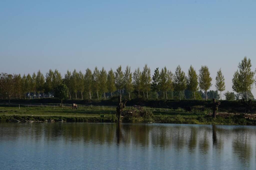 Vakantiewoning Het Olietunnetje Ovezande Esterno foto