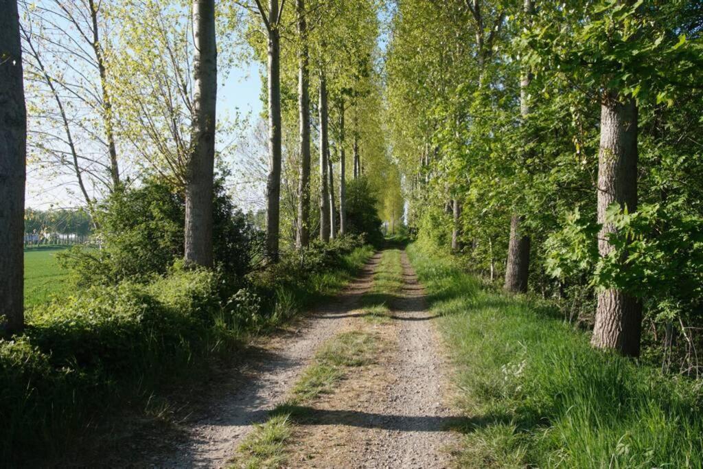 Vakantiewoning Het Olietunnetje Ovezande Esterno foto