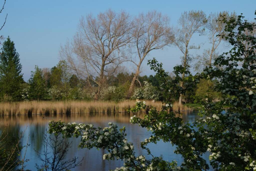 Vakantiewoning Het Olietunnetje Ovezande Esterno foto
