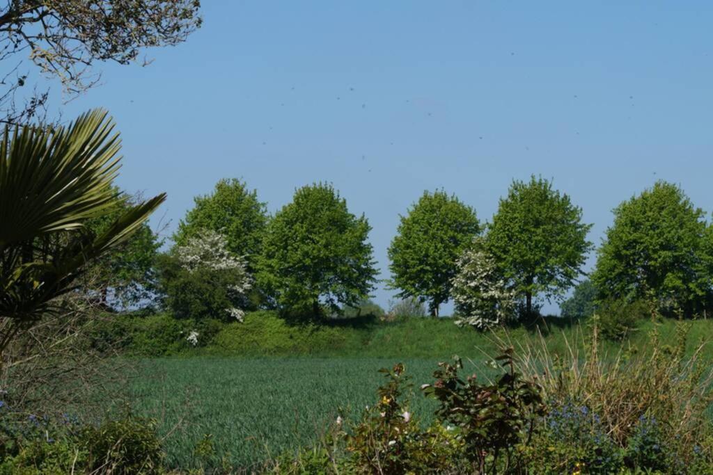 Vakantiewoning Het Olietunnetje Ovezande Esterno foto