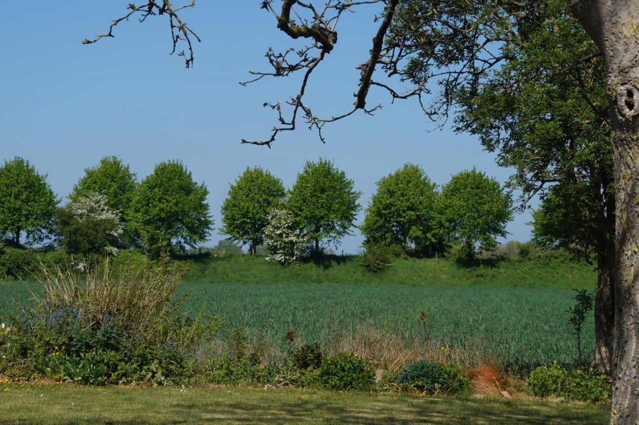 Vakantiewoning Het Olietunnetje Ovezande Esterno foto